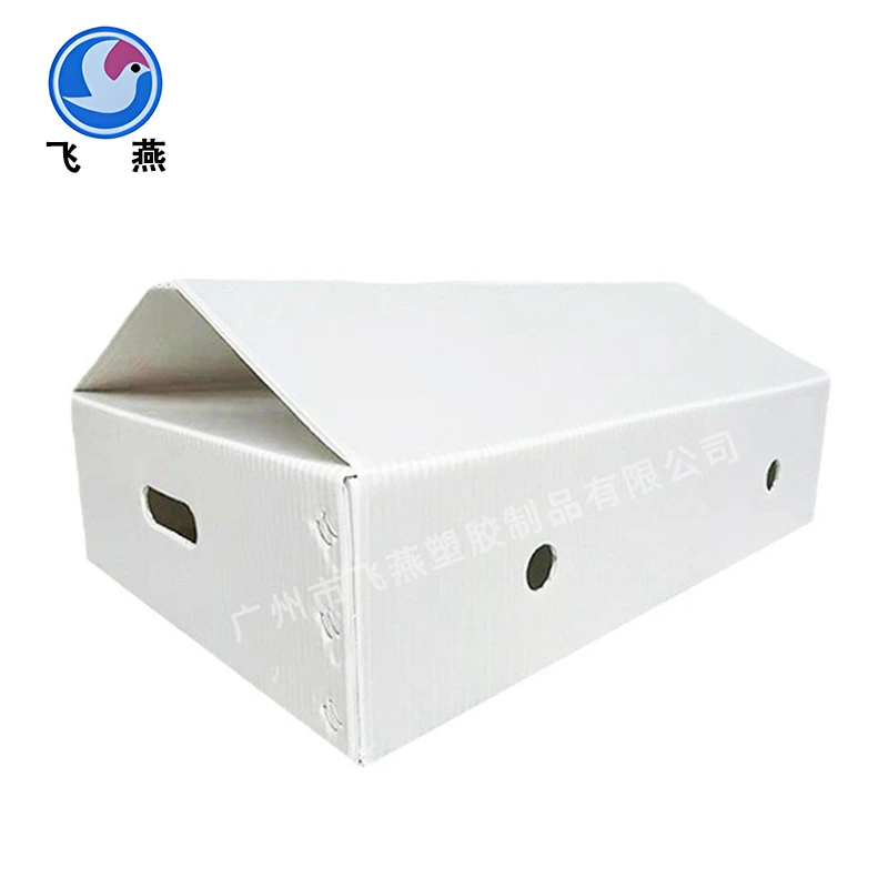 صندوق مبيعات لوح مركب Green Plant Pe Hollow