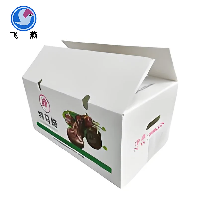 صندوق دوران كستناء الماء